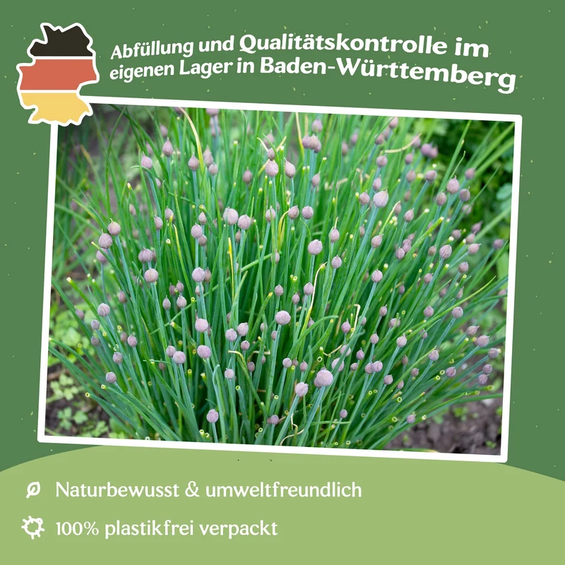 Schnittlauch Polyvert Samen MHD 06/27