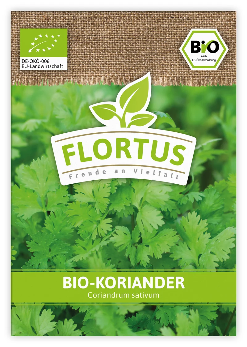 Koriander (100 Tütchen) | BIO Koriandersamen von FLORTUS