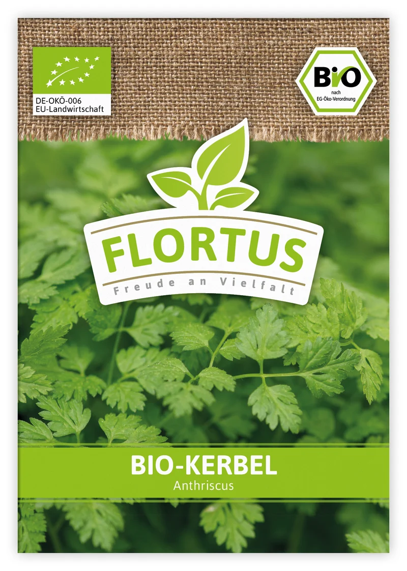 Kerbel (100 Tütchen) | BIO Kerbelsamen von FLORTUS