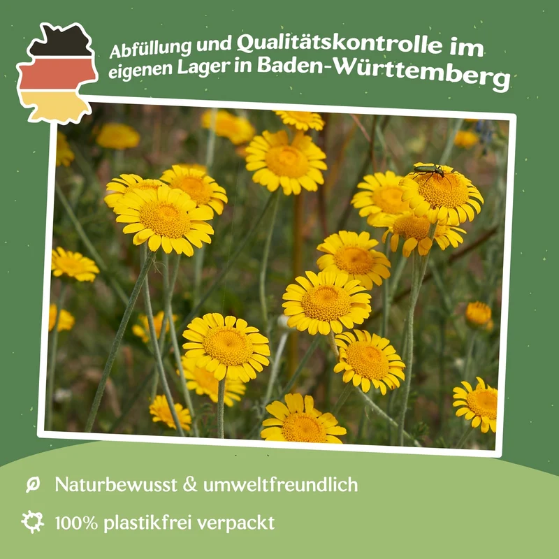 MHD 06/26 Färberkamille Samen, Anthemis tinctoria
