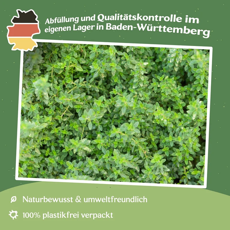 Echter Thymian Samen, Thymus vulgaris MHD 06/27