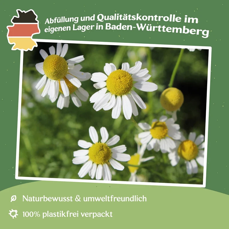 Echte Kamille Samen, Matricaria recutita MHD 06/27