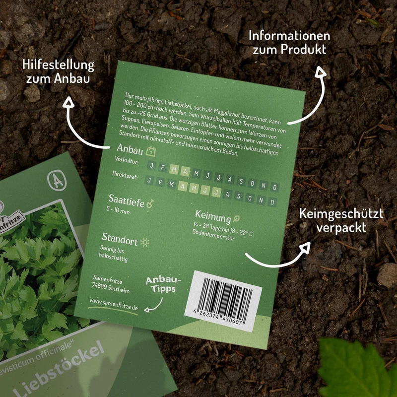 Liebstöckel, Maggikraut Samen, Levisticum officinale