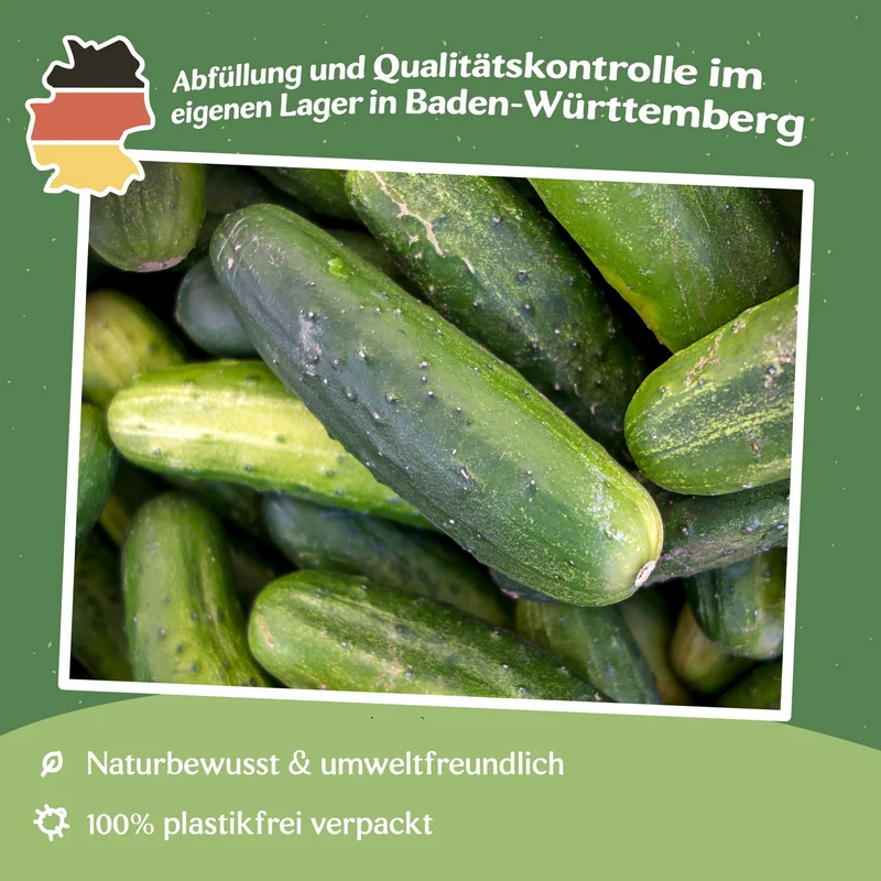 Salat- und Einlegegurke Delikatess Samen