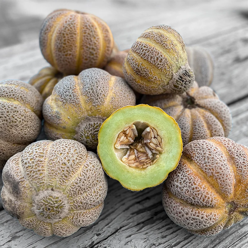 Melone - Jenny Lind