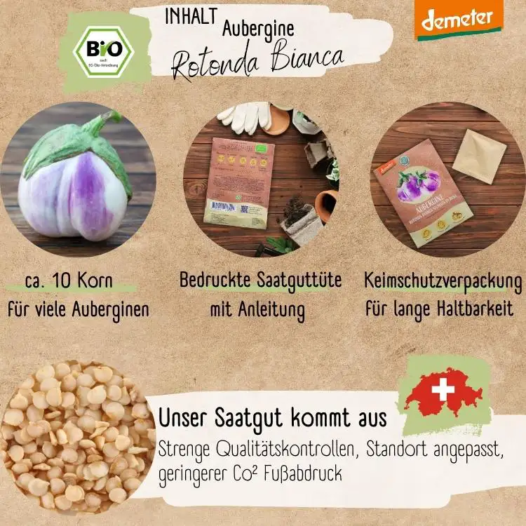 Demeter Aubergine Rotonda di Rosa Samen