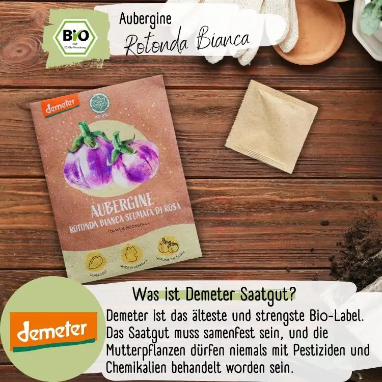 Demeter Aubergine Rotonda di Rosa Samen
