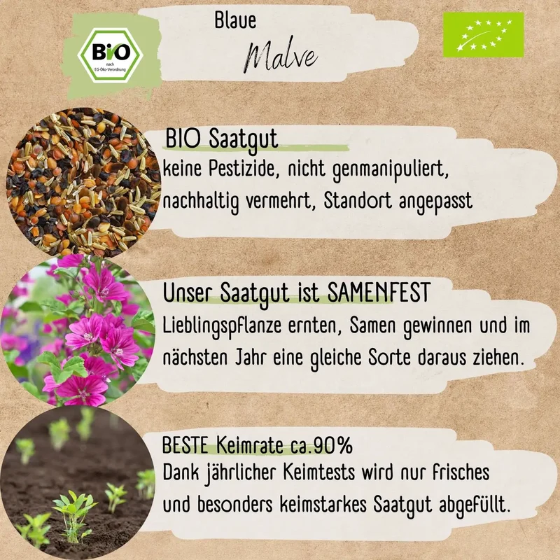 Bio Blaue Malve Samen