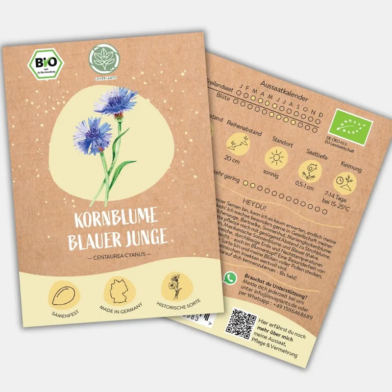 Bio Kornblume Blauer Junge Samen