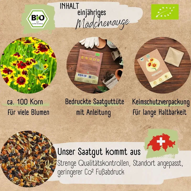 Bio Mädchenauge Samen