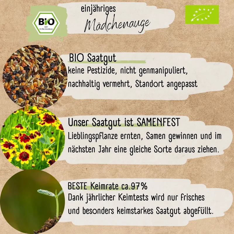 Bio Mädchenauge Samen