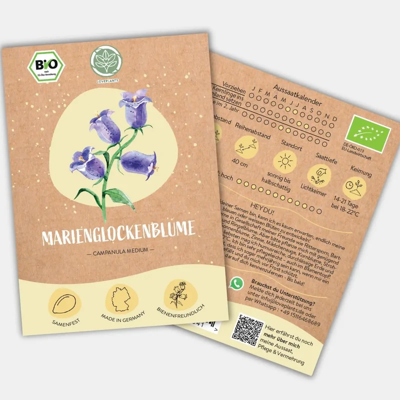 Bio Marienglockenblume Samen