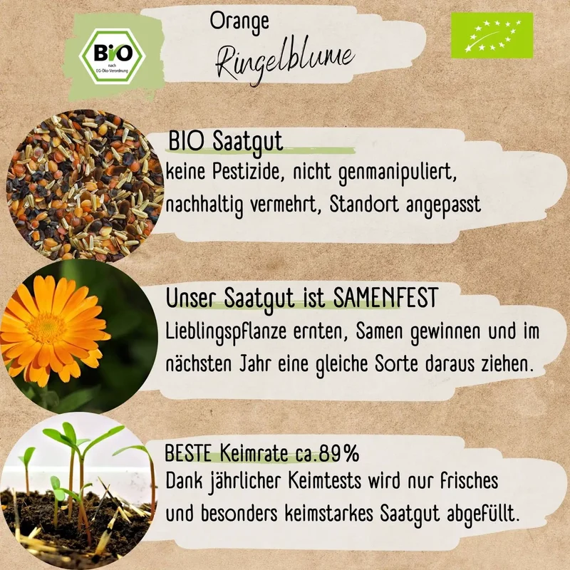 Bio Ringelblume Orange Samen