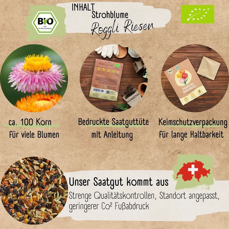 Bio Strohblume Samen Roggli Riesen
