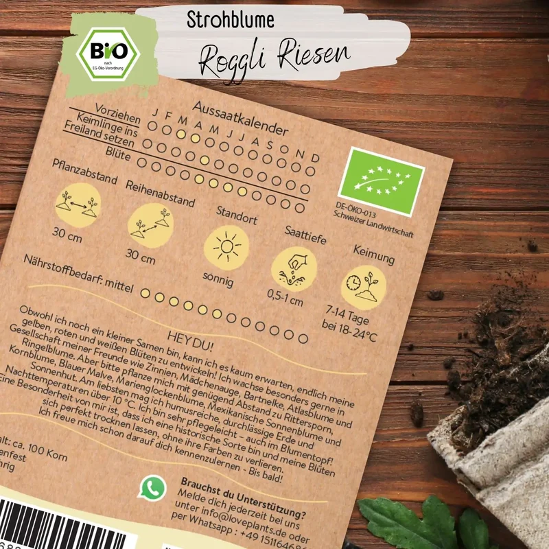 Bio Strohblume Samen Roggli Riesen