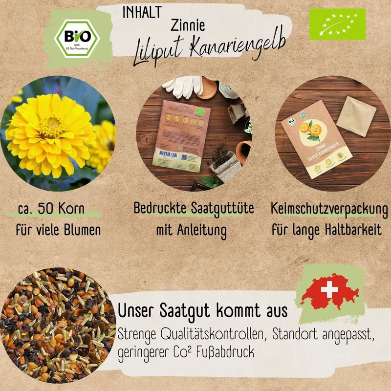 Bio Zinnie Samen Liliput Kanariengelb