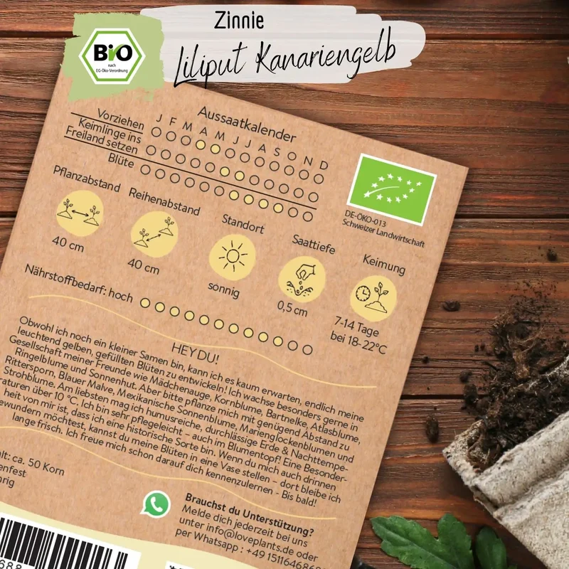 Bio Zinnie Samen Liliput Kanariengelb