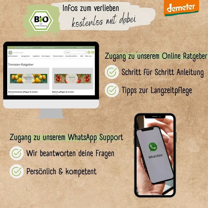 Demeter Baselbieter Röteli Tomaten Samen