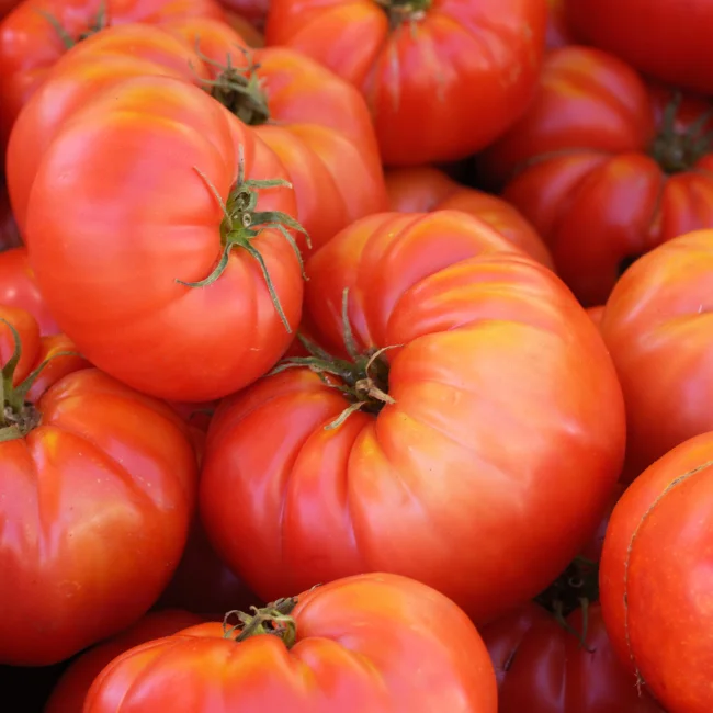 Tomato: Brandywine Organic Seed