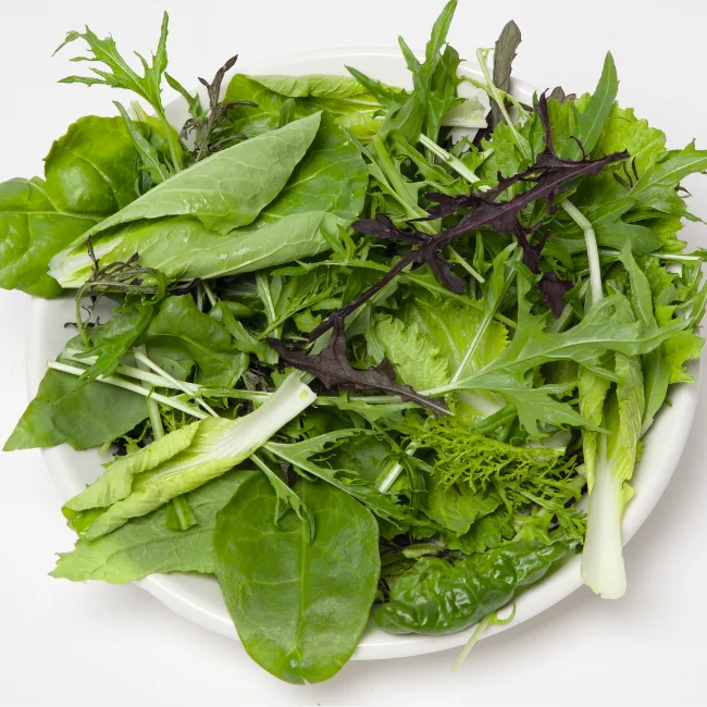 Oriental Salad Mix Organic Seed