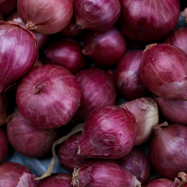 Onion: Red Baron Organic Seed