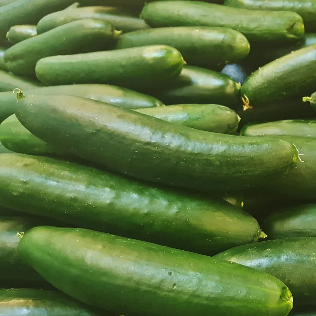 Cucumber: Tanja Organic Seed