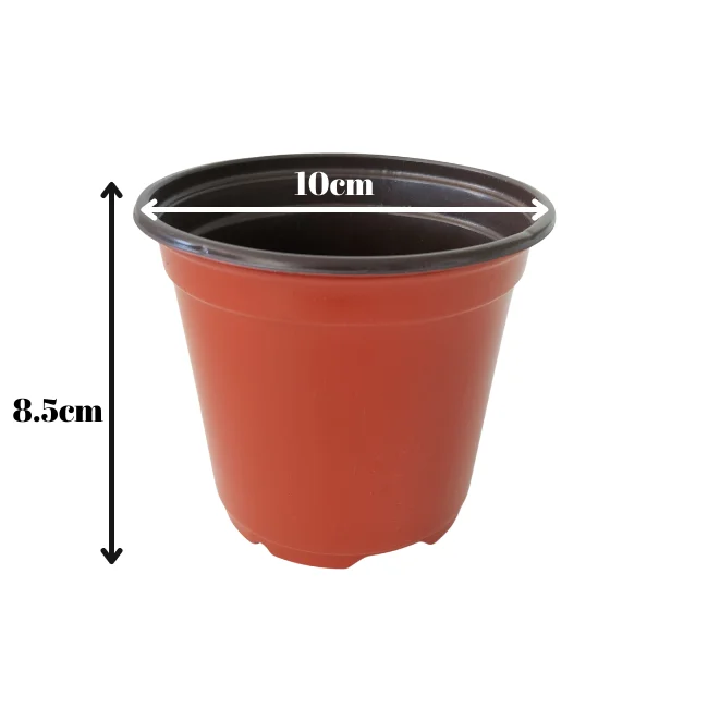 Plant Pots - 100mm Diameter (10cm) - Packs of 10 Pots