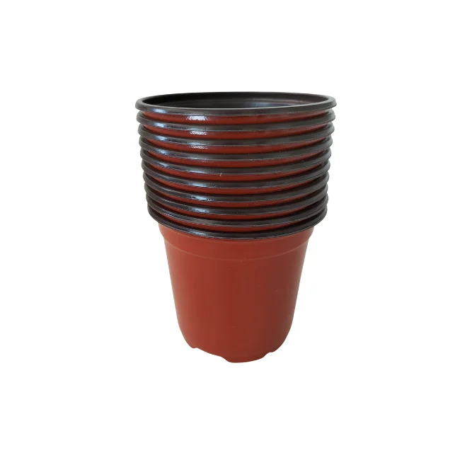 Plant Pots - 100mm Diameter (10cm) - Packs of 10 Pots