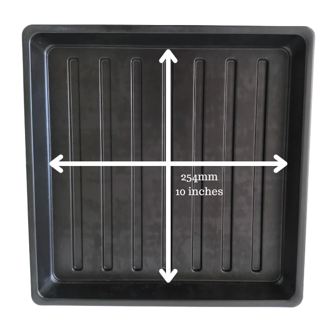 1010 Microgreens Growing Trays WITHOUT Holes 10" x 10" (Shallow)