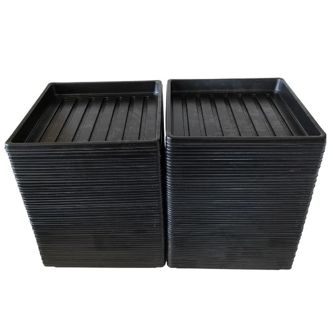 1010 Microgreens Growing Trays WITHOUT Holes 10" x 10" (Shallow)