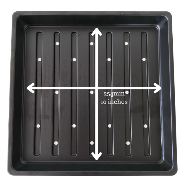 1010 Microgreens Growing Trays WITH Holes 10" x 10" (Shallow)