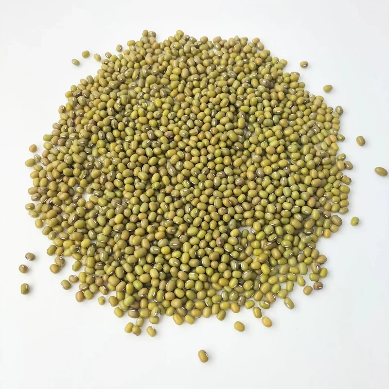 Organic Sprouting Seed: Mung Bean