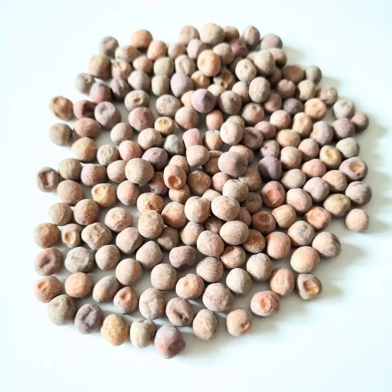 Organic Sprouting Seed: Speckled Pea
