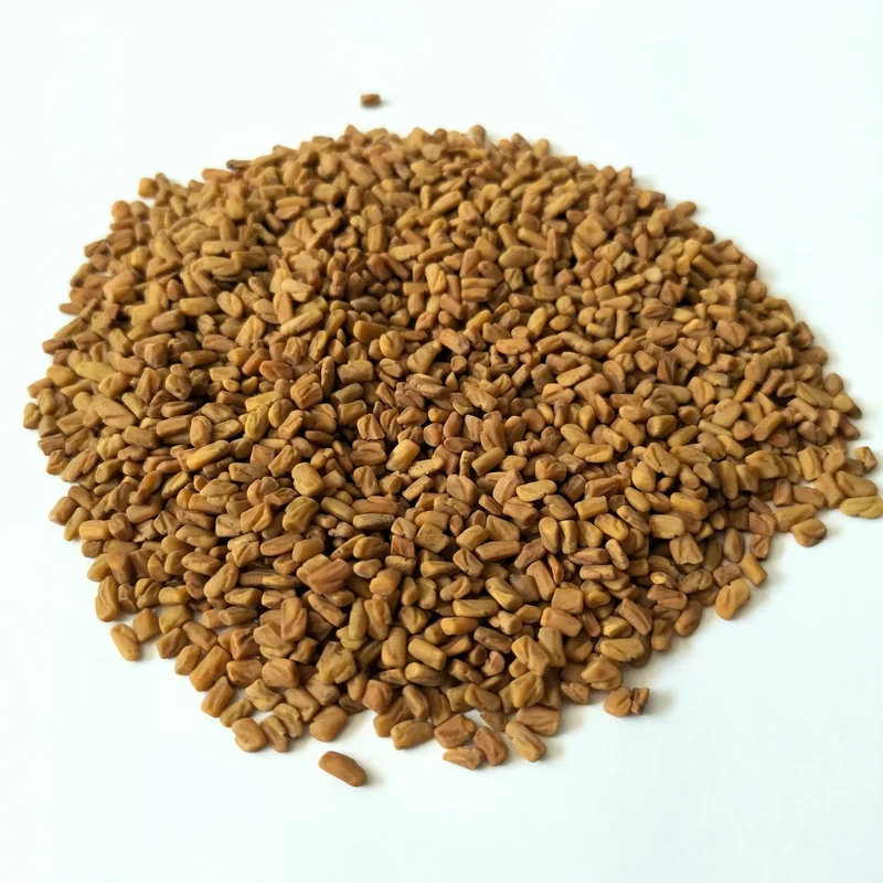 Organic Microgreen Seed: Fenugreek