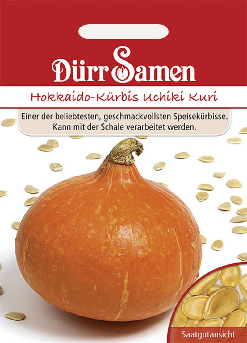 Hokkaido Kürbis Uchiki Kuri Saatgut