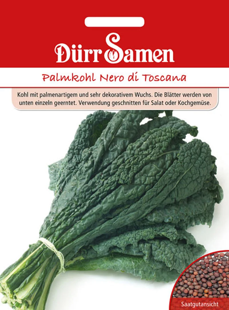Palmkohl Nero di Toscana Saatgut