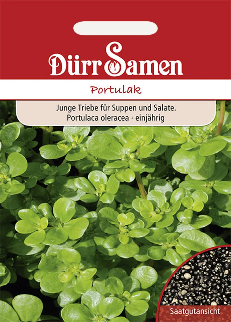 Portulak Saatgut