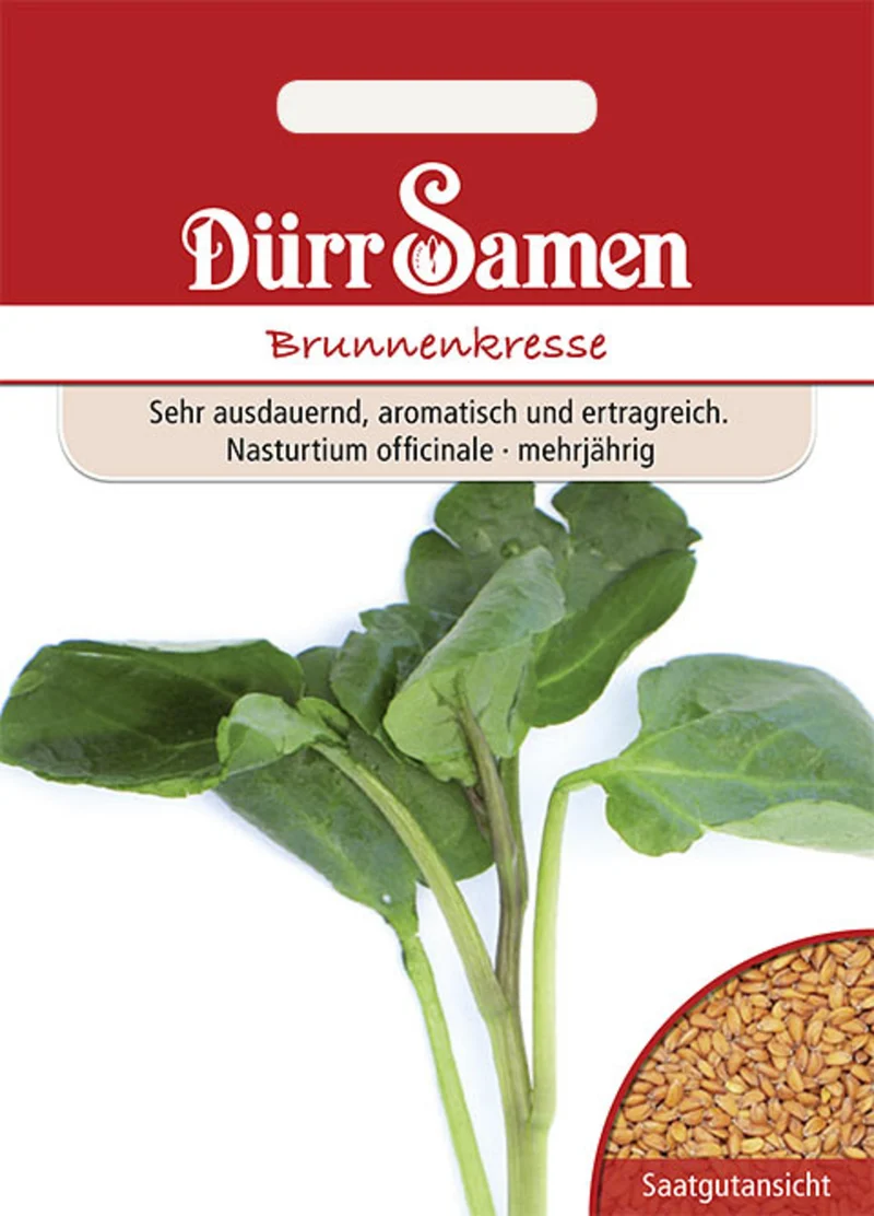 Brunnenkresse Saatgut