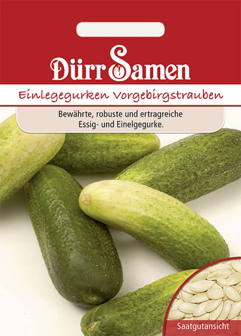 Einlegegurke Vorgebirgstrauben Saatgut