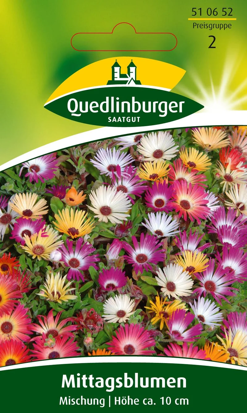 Mittagsblume Mischung Saatgut