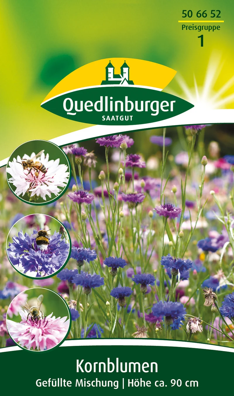 Kornblume Gefüllte Mischung Saatgut