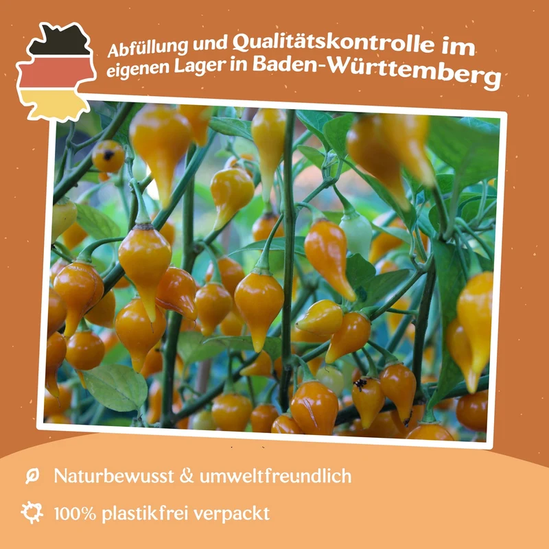 Chili Biquinho gelb Samen
