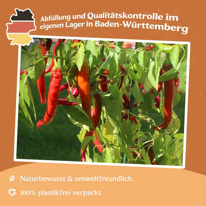 Chili Cayenne Samen
