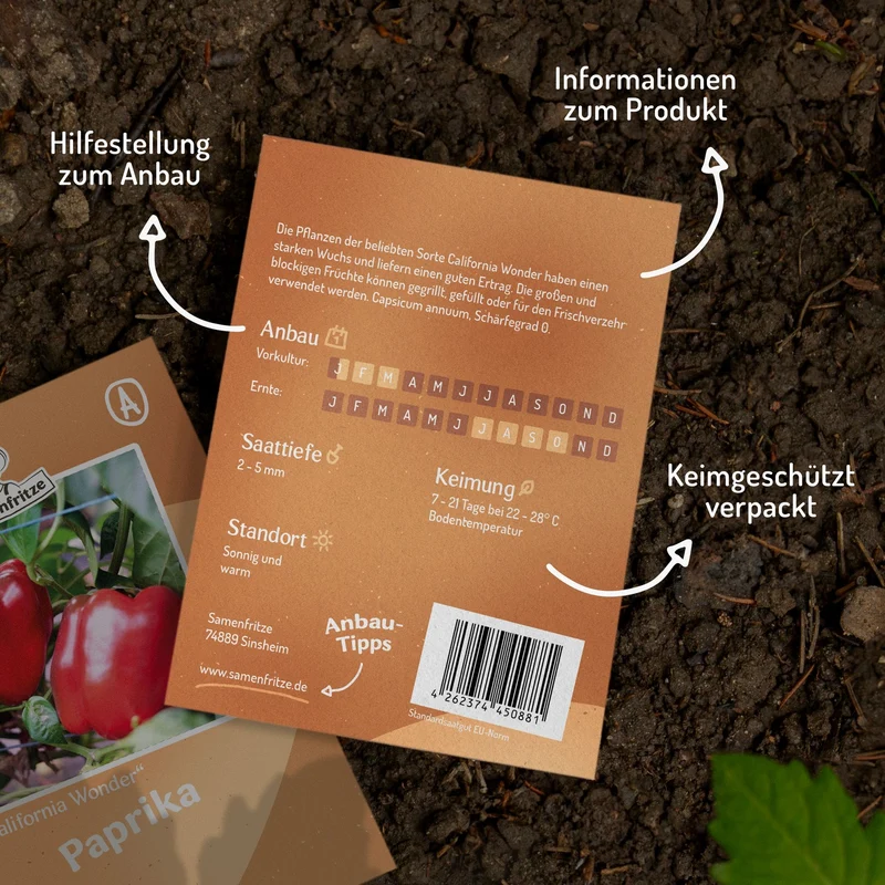 Paprika California Wonder Samen