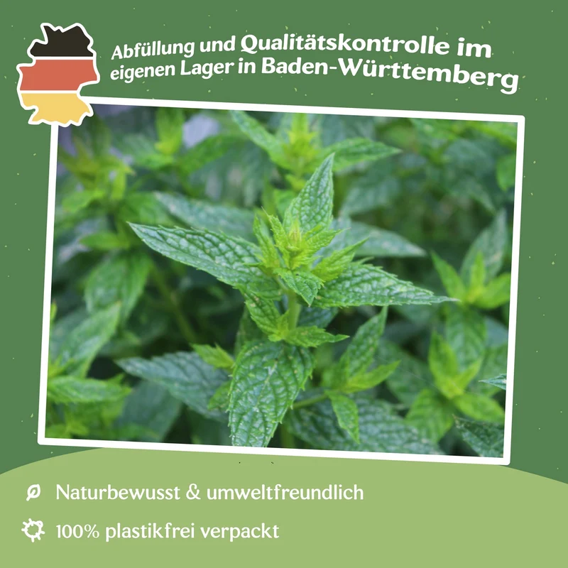Pfefferminze Samen, Mentha piperita MHD 06/27