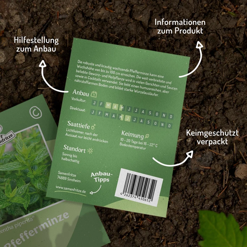 Pfefferminze Samen, Mentha piperita MHD 06/27