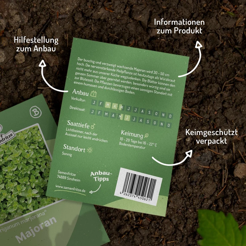 Majoran Samen, Origanum marjorana
