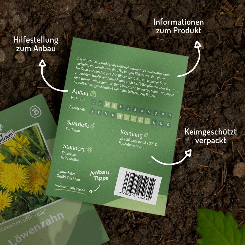 Löwenzahn Samen, Taraxacum officinale