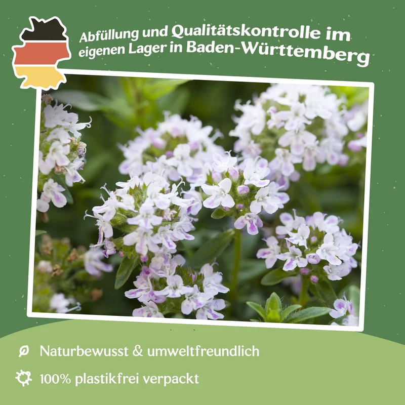 MHD 06/25 Feldthymian Samen, Thymus serpyllum