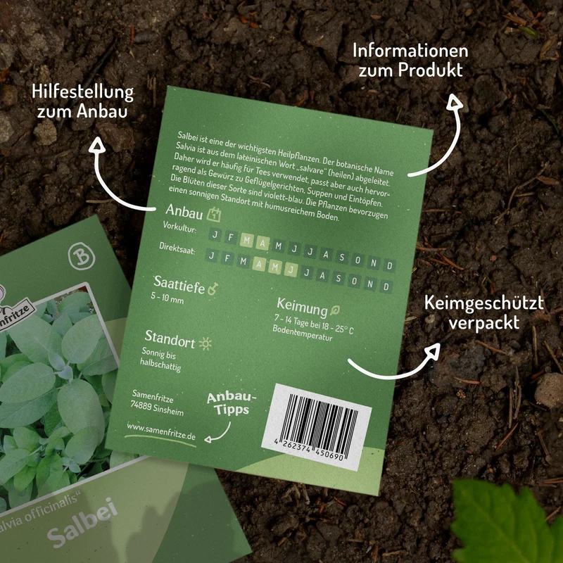 Mehrjähriger Salbei Samen, Salvia officinalis